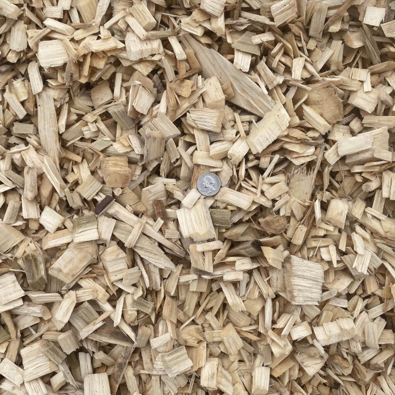 Wood Chips